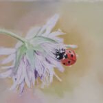 Ladybird 24x30 cm